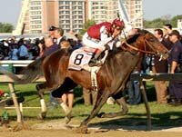 Preakness 131 Results