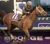 Invasor Breeders 2006